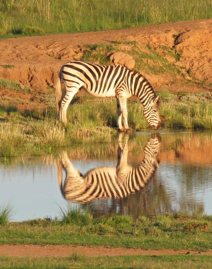 Letsatsi Game Lodge Smithfield Ngoại thất bức ảnh
