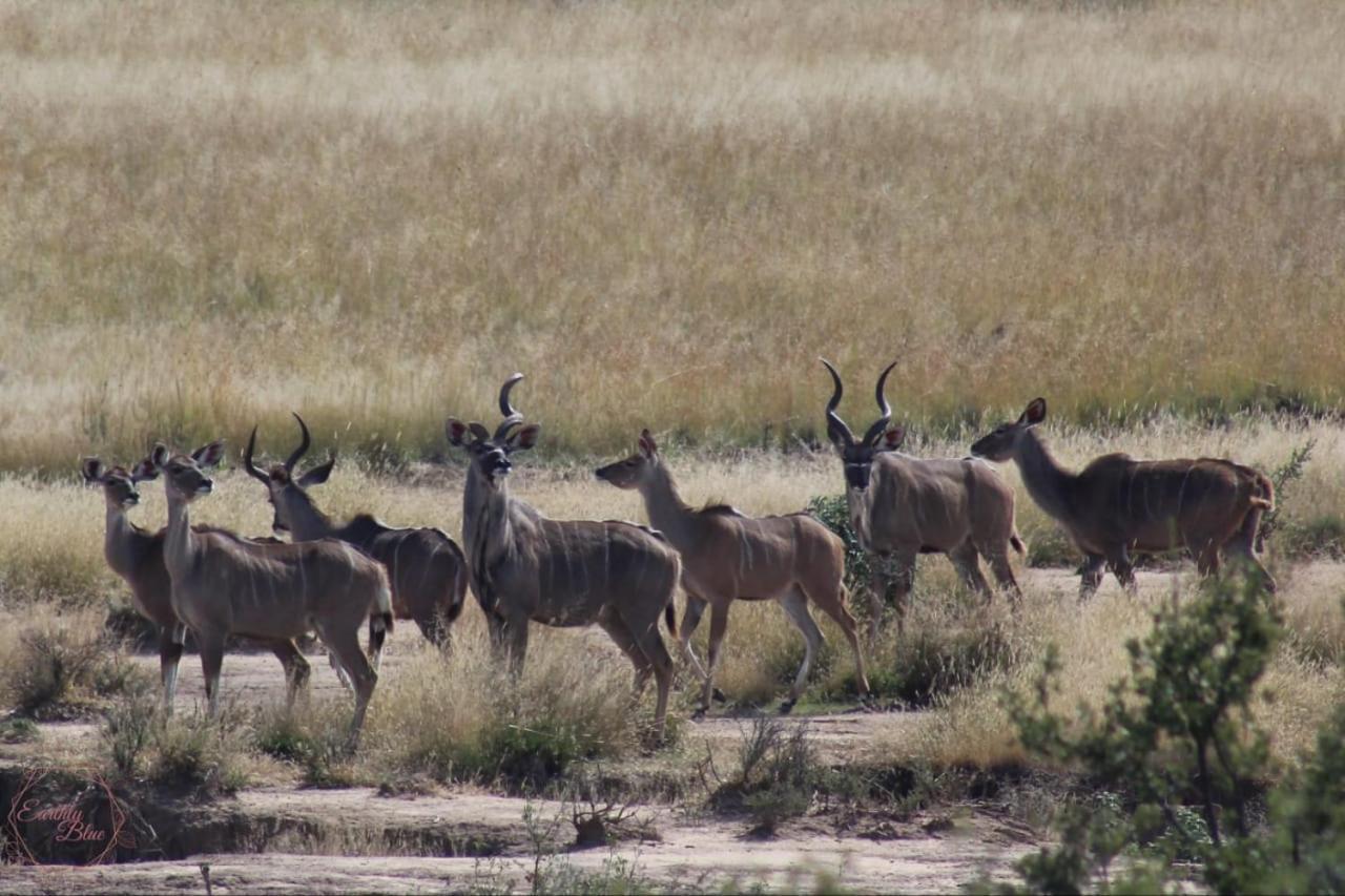 Letsatsi Game Lodge Smithfield Ngoại thất bức ảnh