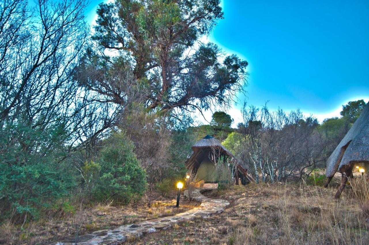 Letsatsi Game Lodge Smithfield Ngoại thất bức ảnh