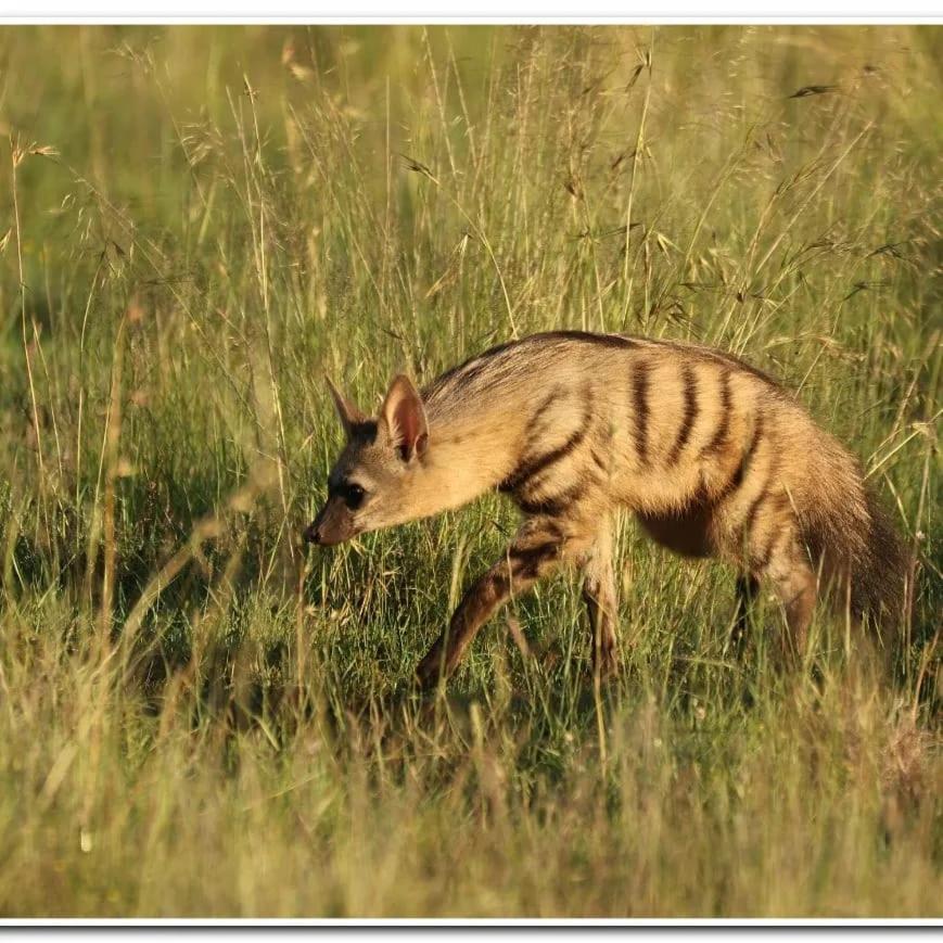 Letsatsi Game Lodge Smithfield Ngoại thất bức ảnh