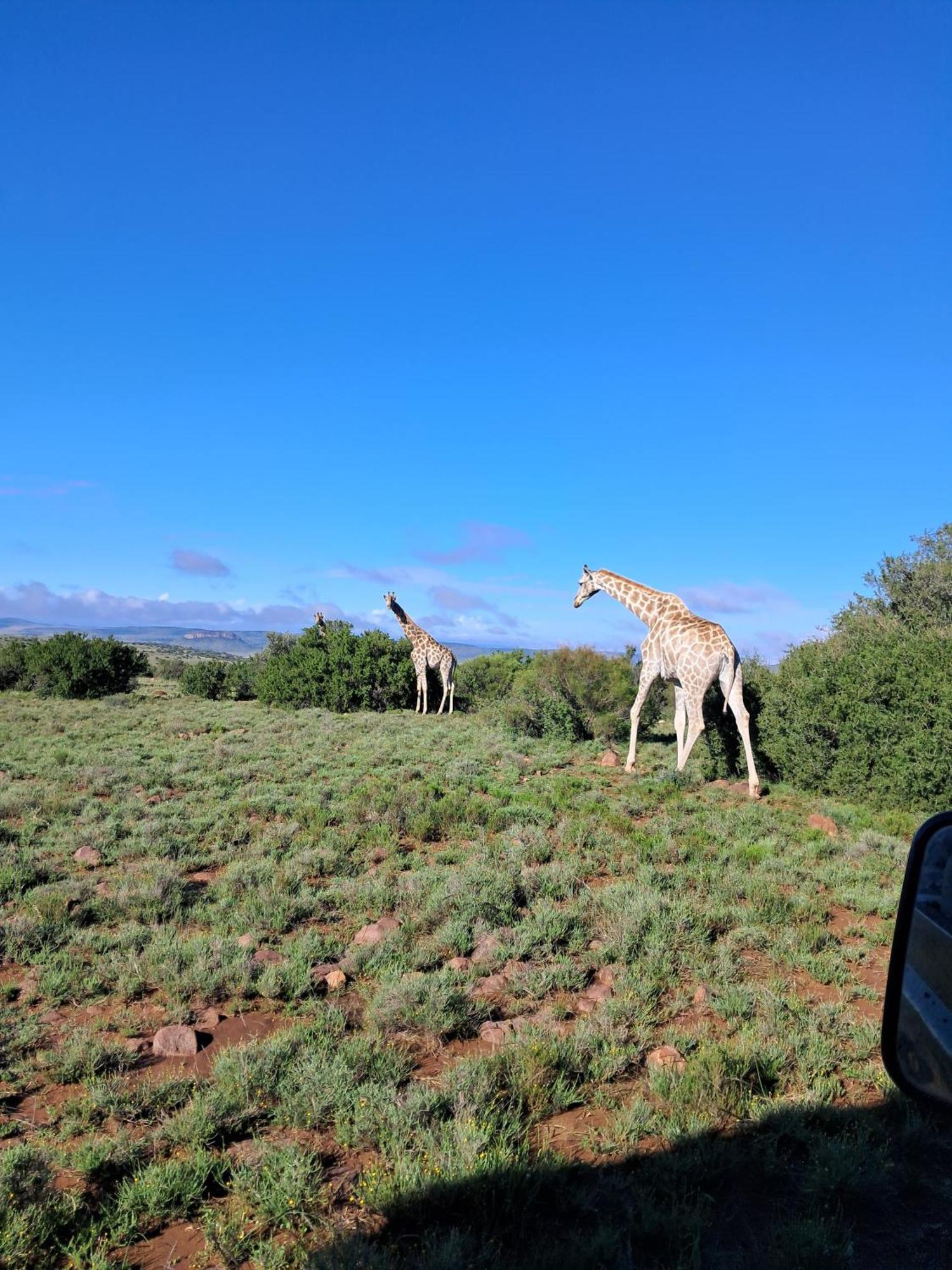 Letsatsi Game Lodge Smithfield Ngoại thất bức ảnh