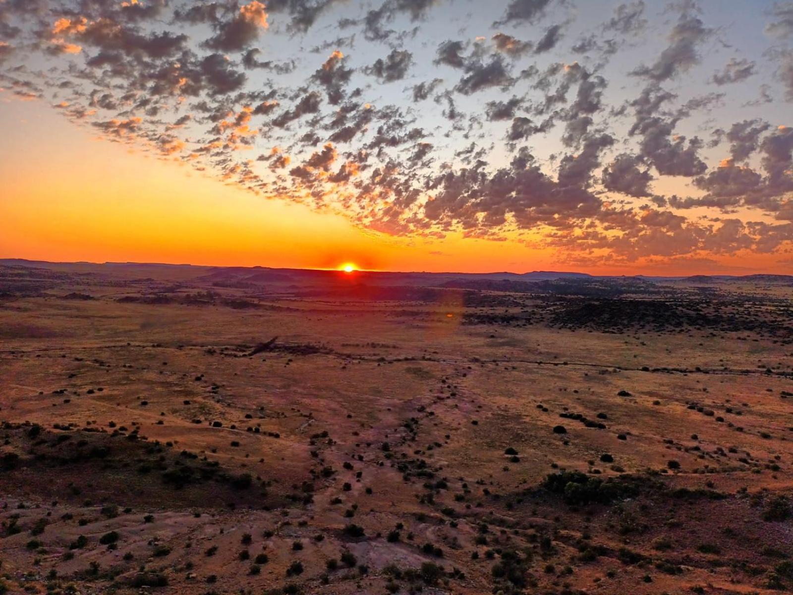 Letsatsi Game Lodge Smithfield Ngoại thất bức ảnh